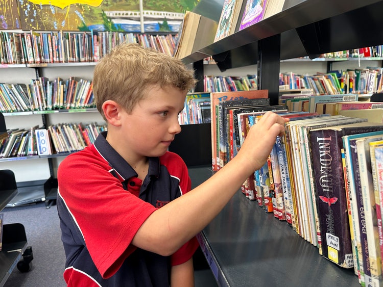 A boy selecting a book in the library.