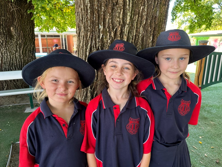 Three students standing under a tree.